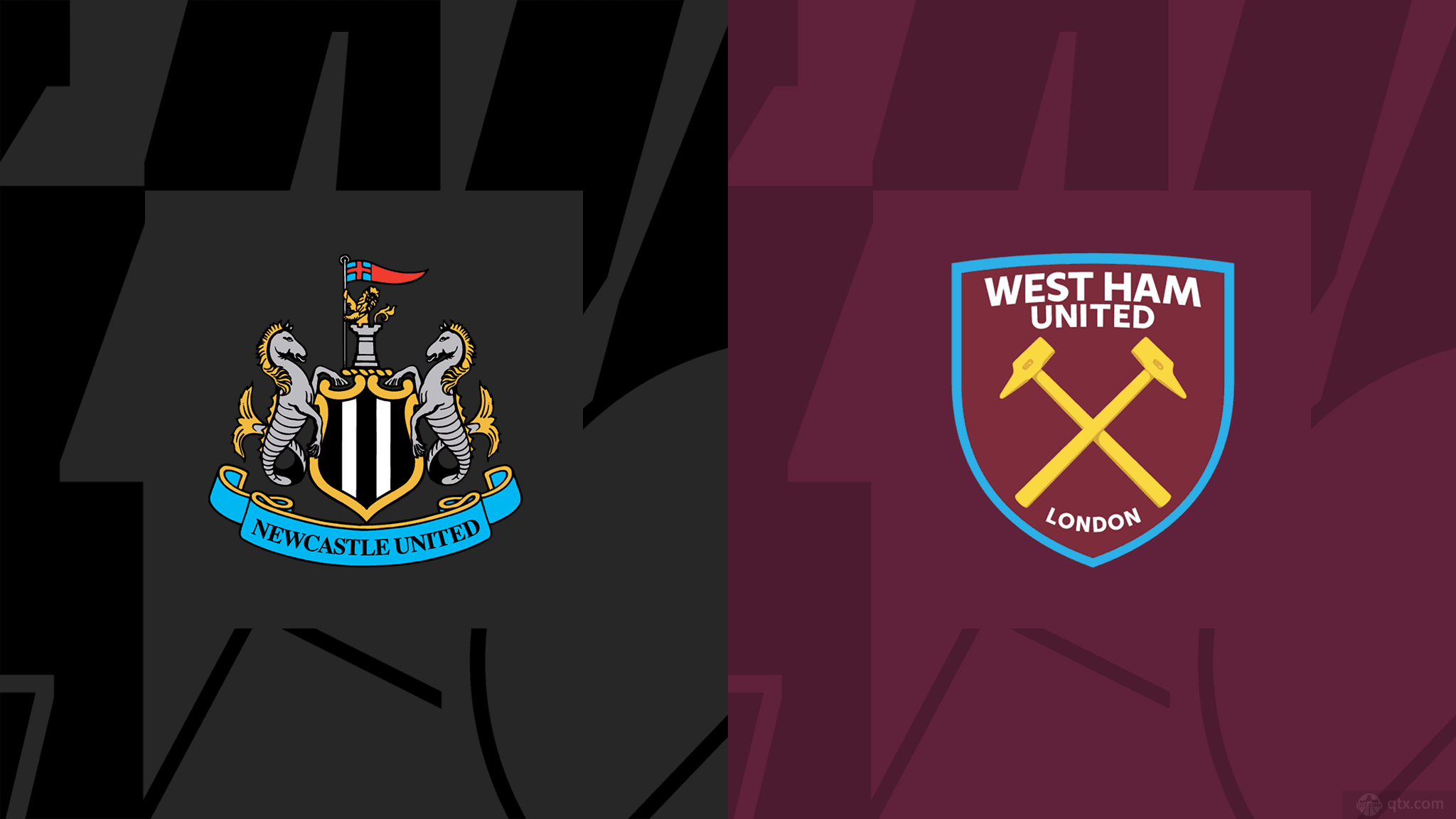 球迷的视线 球迷的视线